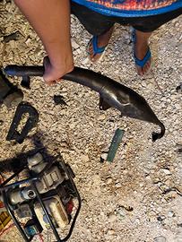 marmitta tt per Minarelli 