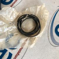 71752645 Serie fasce elastiche Fiat 2300 6 cilindr
