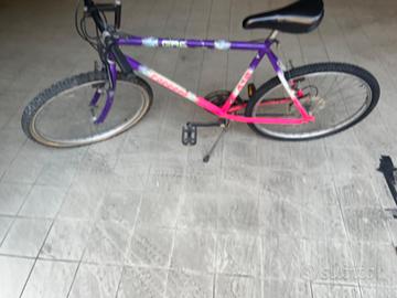 2 BICI ADULTO