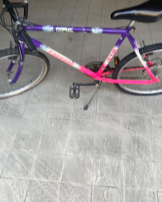 2 BICI ADULTO