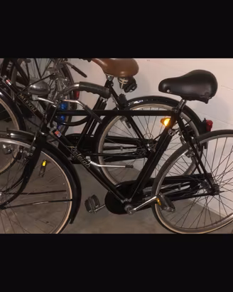 Coppia di biciclette vintage RELEIGH