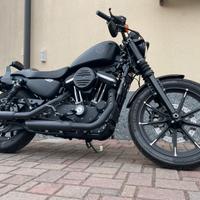 Harley davidson sportster 883 iron