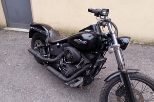 Harley Davidson softail