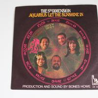 disco vinile collezione the 5th dimension