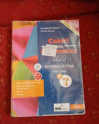 i colori della matematica blu volume 3