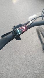 bici elettrica