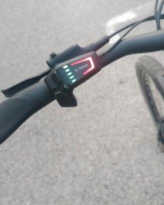 bici elettrica