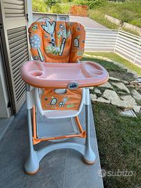 SEGGIOLONE CAM CAMPIONE - FOTO PRESA DA GOOGLE