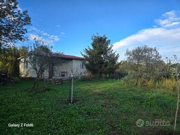 Casa indipendente nuova palocco