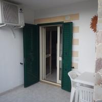Vieste Estate 2026 - sul mare