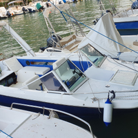 Glastron LaRaya 5,60 m + Evinrude e-tec 115