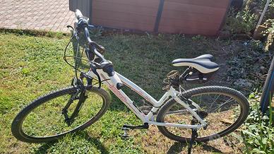 bicicletta donna Lombardo 