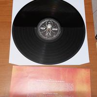 vinile my chemical romance