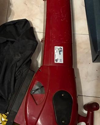 Aspira tritafoglie/ soffiatrice