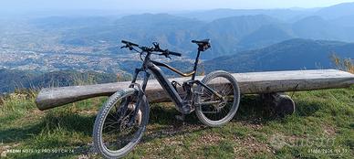 e bike