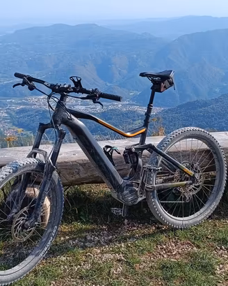 e bike