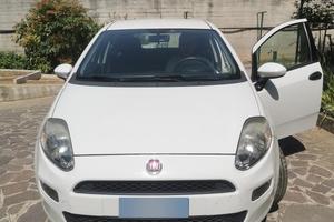 Fiat Punto Street 1.2 69 CV - 5 porte  euro 6