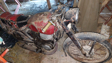 Mv agusta 150 Vendita in Moto e scooter