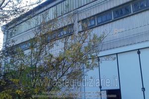 Laboratorio Arcevia [A4356174]