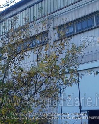 Laboratorio Arcevia [A4356174]