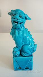 CANE FOO TURCHESE