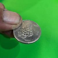 moneta da 5 lire