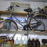 bicicletta da passeggio