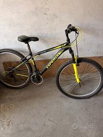 Bici da ragazzi fino a 18Anni