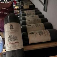 Bottiglie di Vino Invecchiate