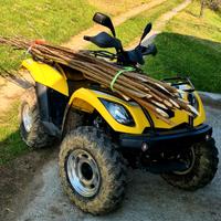 quad 4x4 linhai 260 goon