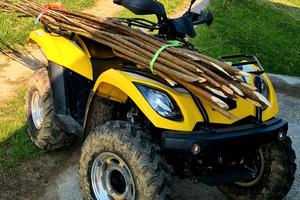 quad 4x4 linhai 260 goon