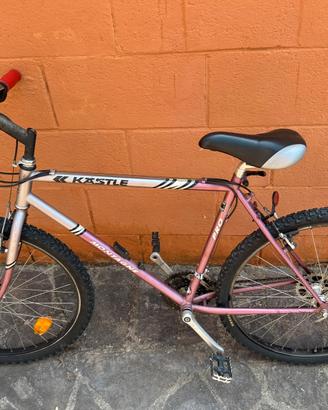 mountain bike