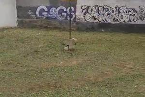 Terreno interamente edificabile