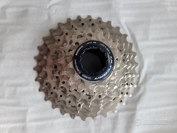 pacco pignoni 11v bdc