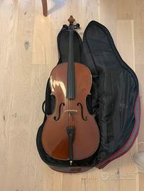 Violoncello