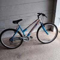 biciclette