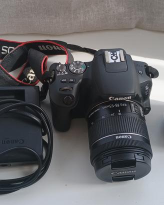 Canon 200D, 18-55, 50mm 1.8 STM, treppiede, zaino