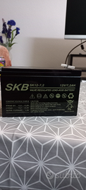 Batteria per allarmi