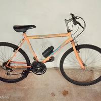 BICI MOUNTAIN BIKE