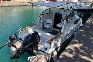 Barca cabinata per pesca e uscite con famiglia