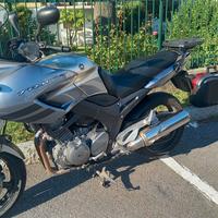 Yamaha TDM 900 - 2006