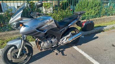 Yamaha TDM 900 - 2006