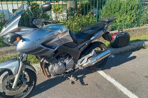 Yamaha TDM 900 - 2006