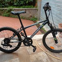 Bici Mountain bike 20'