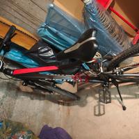 bici da trekkiing