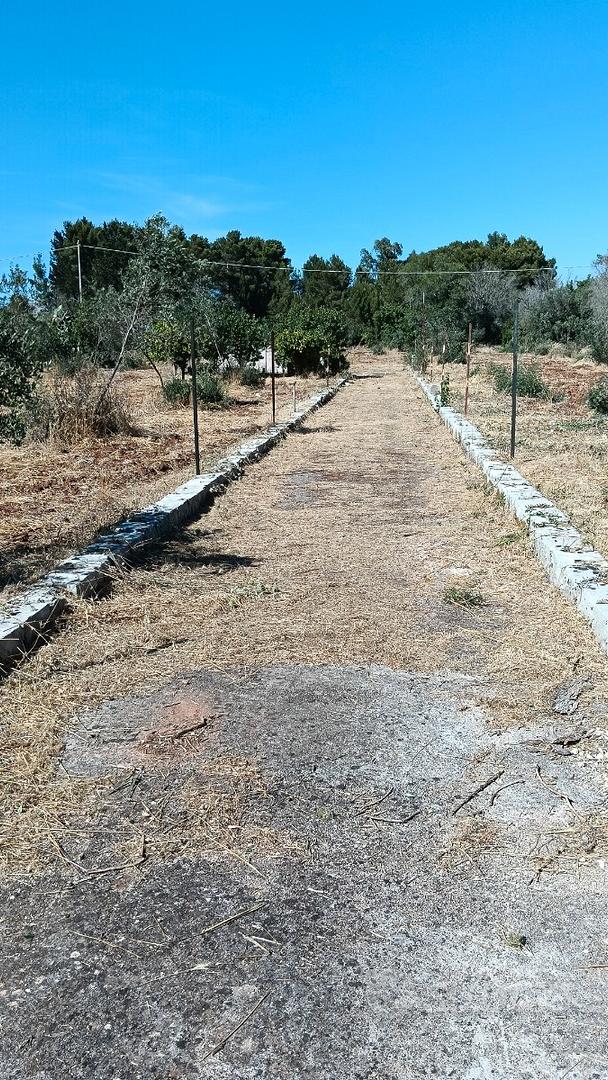 Terreno agricolo - Vista 3