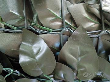 Arella Sempre verde Lauro 1mtx20mt