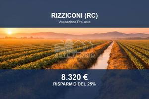 Immobile in asta di 3600 m² a Rizziconi