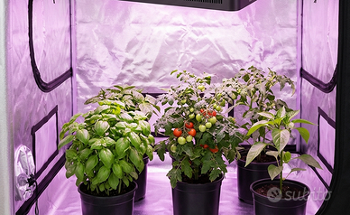 Niello M300 LED Grow Light 300W – 2 disponibili