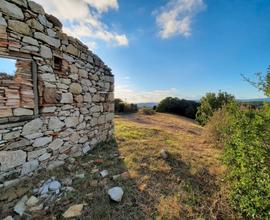 Rudere di annesso agricolo con olivi